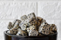 Dalmatian Jasper Tumbled Stones