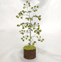 Peridot Crystal Tree (Wooden Base, 100)
